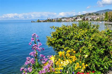 montreux geheimtipps|Montreux am Genfersee: Guide mit。